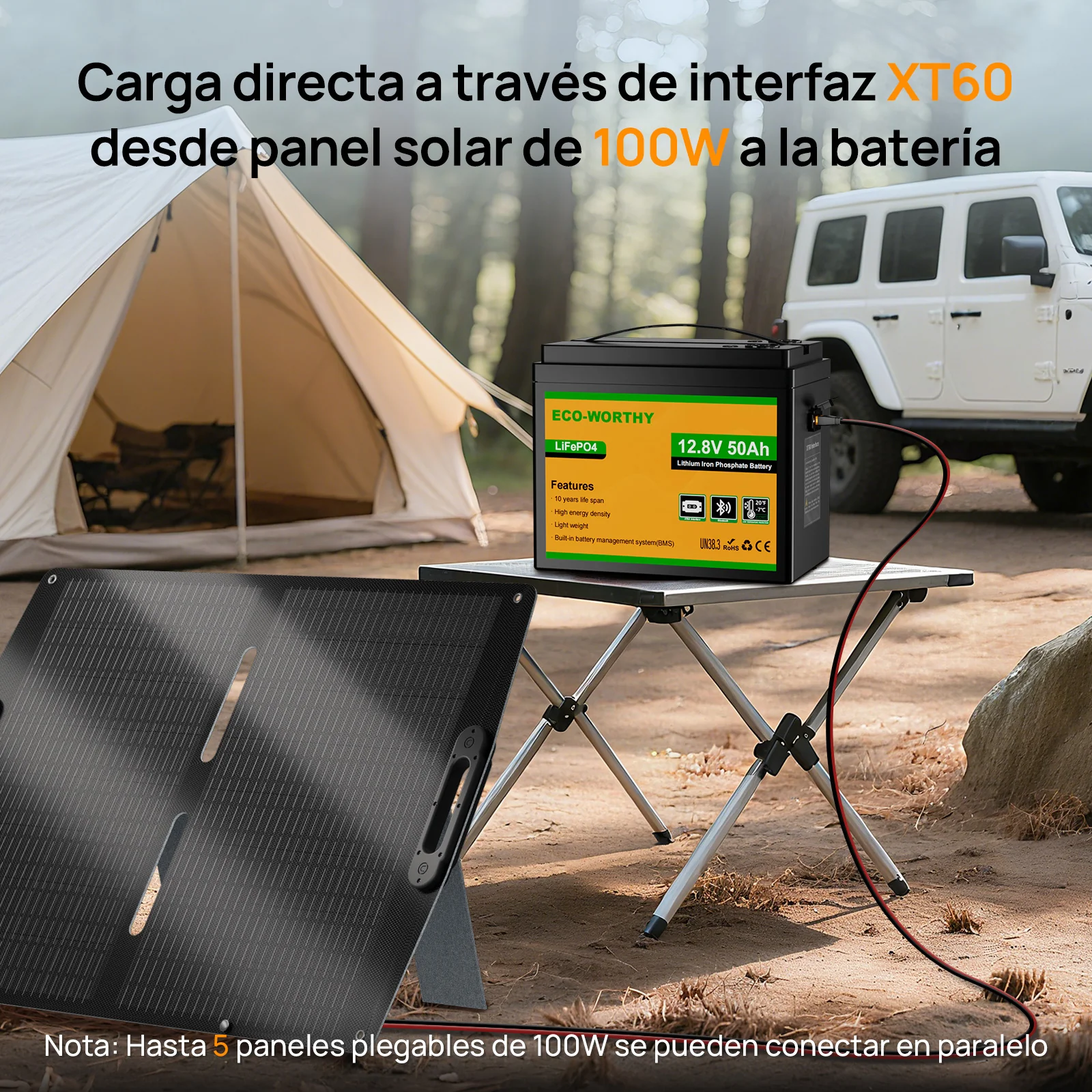 Batería Litio LiFePO4 12V 50Ah - Image 12